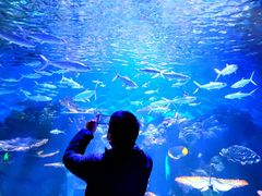 -华夏文旅西安度假区