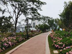 -金银湖国家城市湿地公园