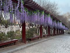 -西安汉城湖景区
