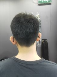 -藤野造型