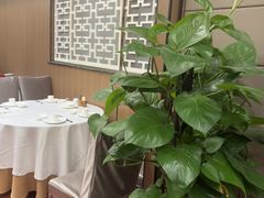 -一品粤珍轩(吴中路店)