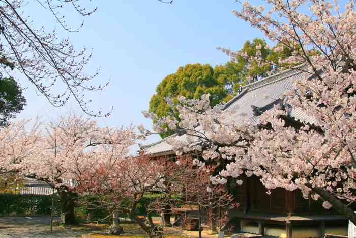 熊野若王子神社-"如果不是樱花季就没必要来了,庙很小,庙后.