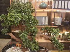 -华夏良子·足道SPA艾灸(开源店)