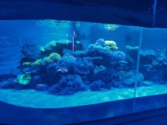 -上和臻品中国菜(花园街店)