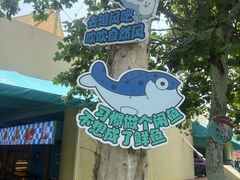 -秦皇岛乐岛海洋王国