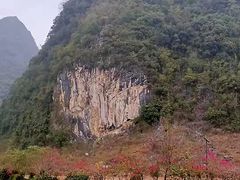 -靖西鹅泉风景区