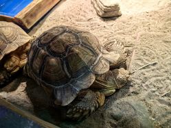 -Zoolung Zoolung动物主题公园(海信广场店)