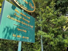 -Fern Forest Cafe