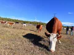 -塞罕坝国家级自然保护区