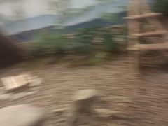 -云里小坐·海泉湾·团建·宴席·下午茶(金堂海泉湾店)