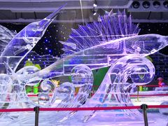 -宁波冰雪大世界(北仑区)