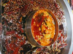 -谭鸭血老火锅(图书馆店)