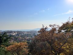 -信号山公园