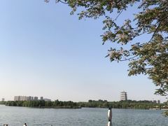 -灞河西岸滨河公园