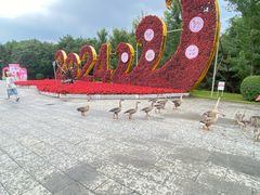 -沈阳鸟岛
