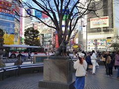 -涩谷全向十字路口