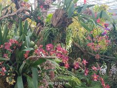 -国家植物园南园