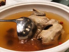 虫草花枸杞炖双鸽-武汉香格里拉大酒店·香宫中餐厅
