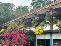 -深圳仙湖植物园