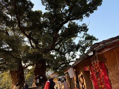 -杨家堂村