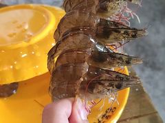-名羊天下·火锅烧烤自助料理(镇明路店)
