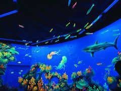 -常州海昌海洋探索馆