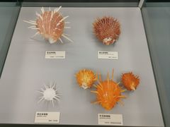 -天津古林古海岸遗迹博物馆