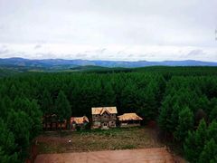 -塞罕坝国家级自然保护区