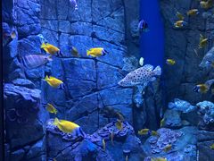 -成都浩海立方海洋公园