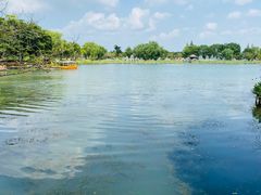 -尚湖风景区