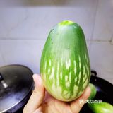 又到了吃菌子的季节