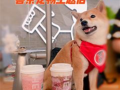 -喜茶(珠海华发商都店)