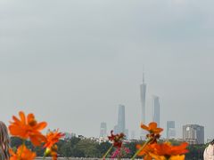 -海珠湖公园