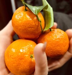 -Tipo Hair salon（明星）店