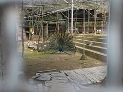 -黄陂区野村谷景区