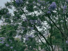-龙潭水乡