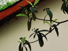 -中国天府农业博览园