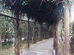 -珠海圆明新园