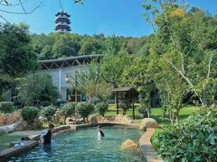 -山湖温泉