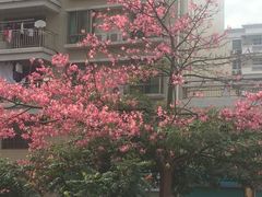-华荣西饼屋(金禧店)