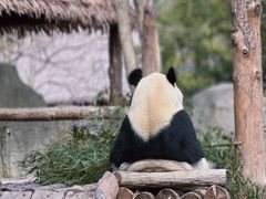 -上海野生动物园
