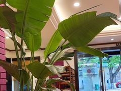 -阿诺泰·泰国餐厅(棕北店)