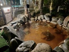 -张家港金凤凰度假村温泉