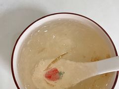海石花-凉凉海石花