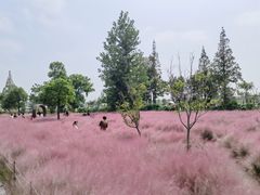-嘉北郊野公园