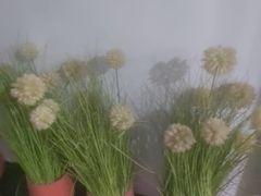 -唐宫足道·SPA·住宿24H会所(木渎店)