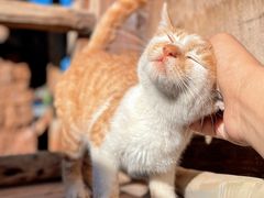 -田德能咖啡博物馆