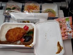 -全日本空输株式会社(上海办事处)