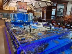 -鲜得莱渔港·小平岛海胆馆(七贤岭店)