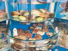 -东戴河风景区-止锚湾